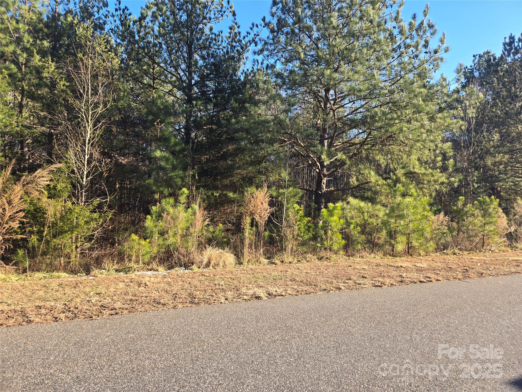283 Rivercliff Drive Stony Point NC 28678