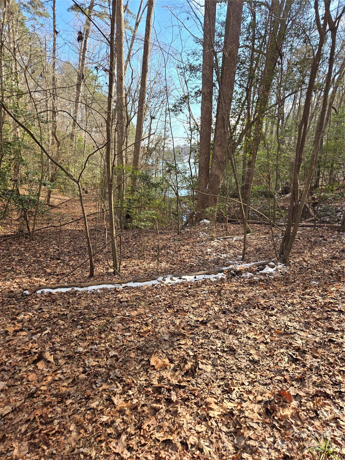 283 Rivercliff Drive Stony Point NC 28678