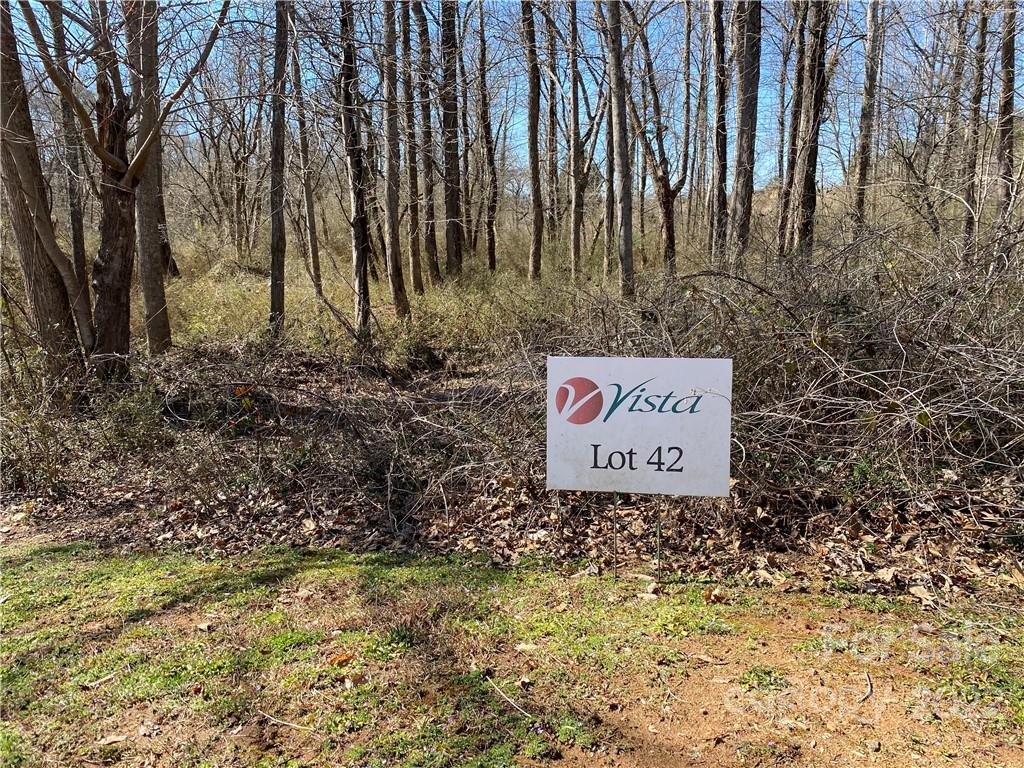 000 Bridge Lane Tryon NC 28782
