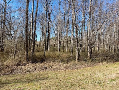 000 Bridge Lane Tryon NC 28782