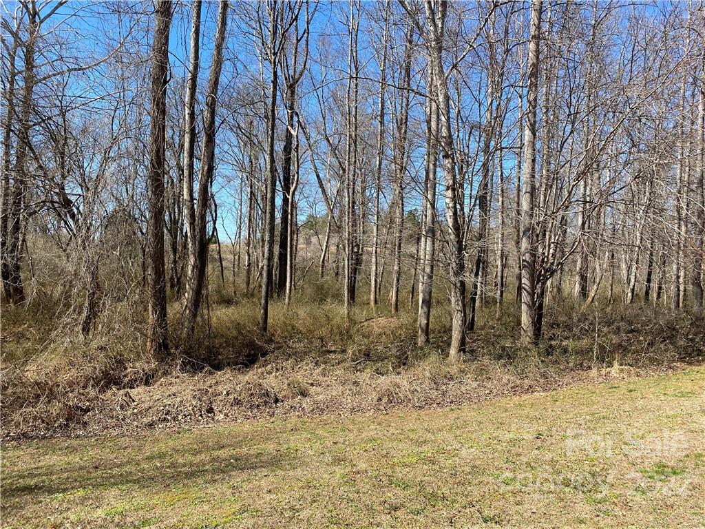 000 Bridge Lane Tryon NC 28782