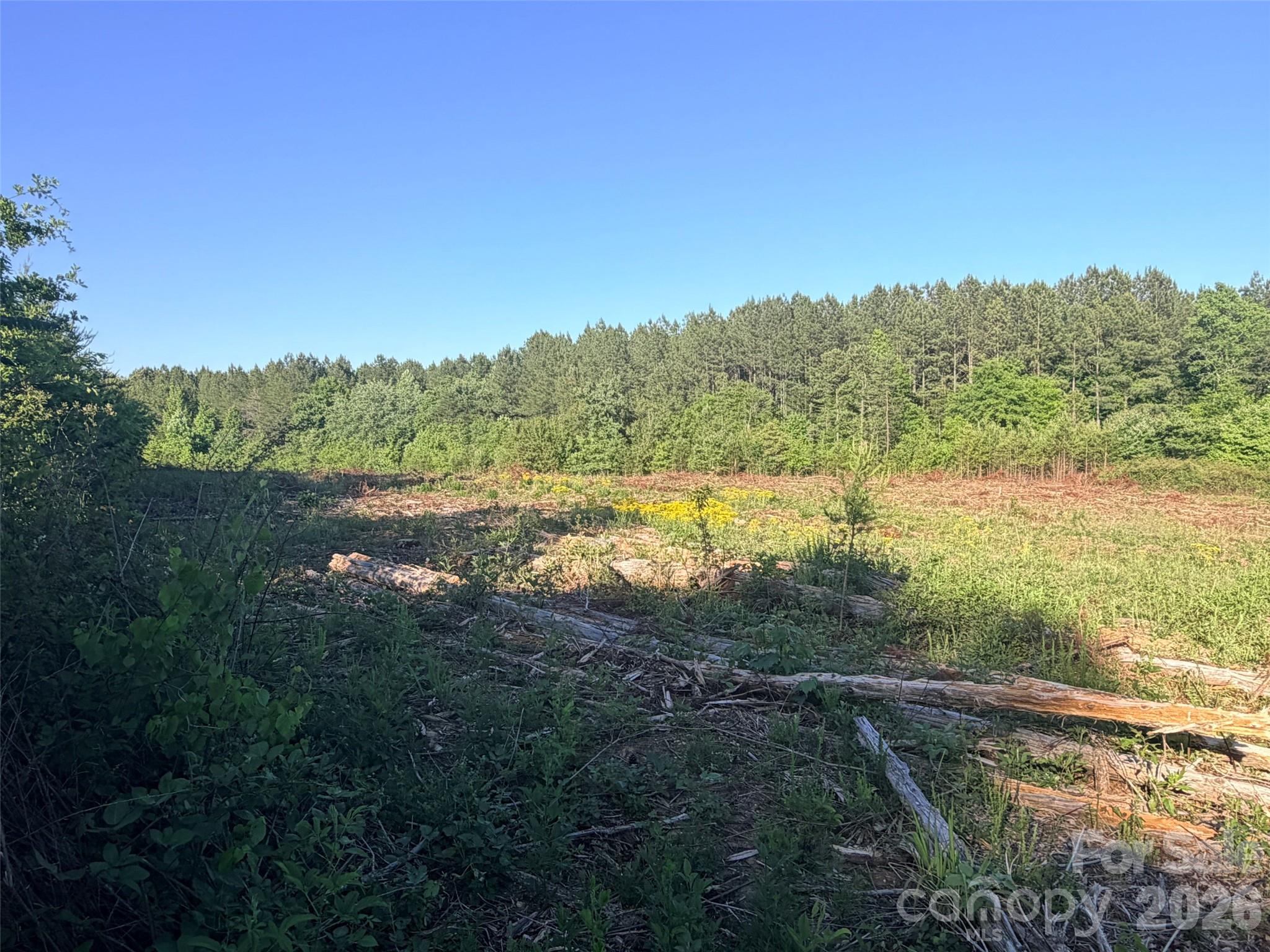 Lot 2 Doggett Grove Road Forest City NC 28043