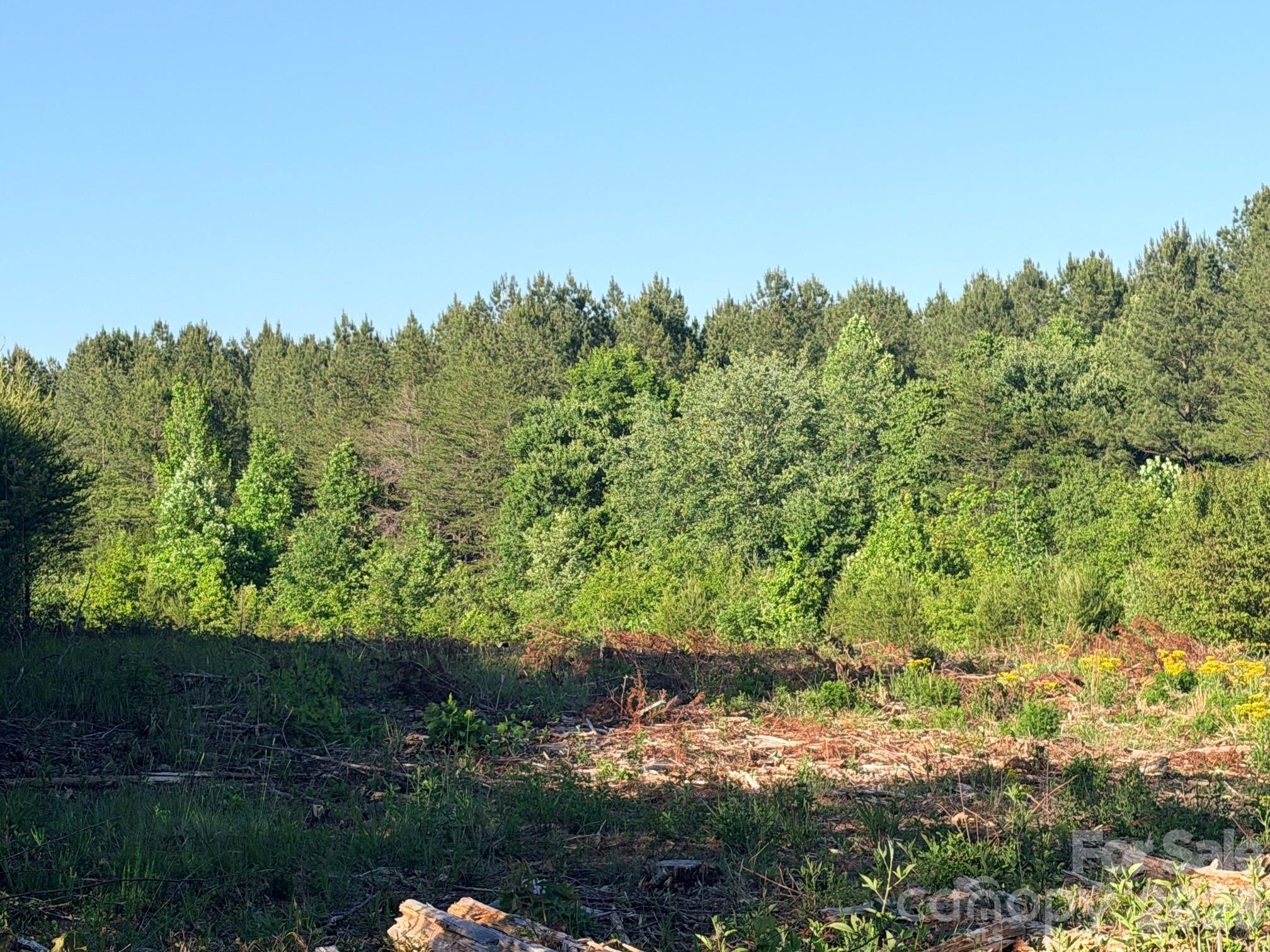 Lot 2 Doggett Grove Road Forest City NC 28043