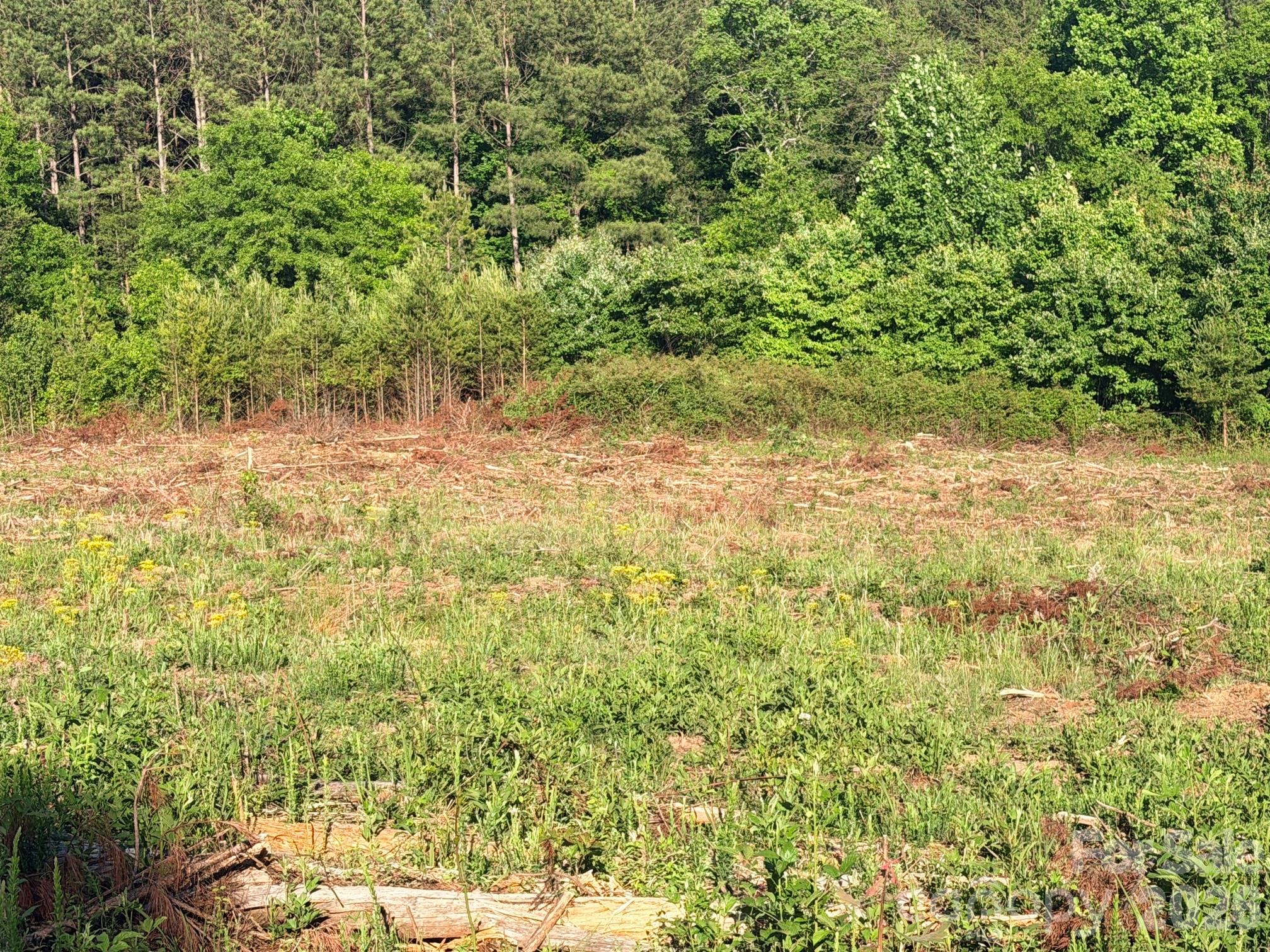 Lot 2 Doggett Grove Road Forest City NC 28043