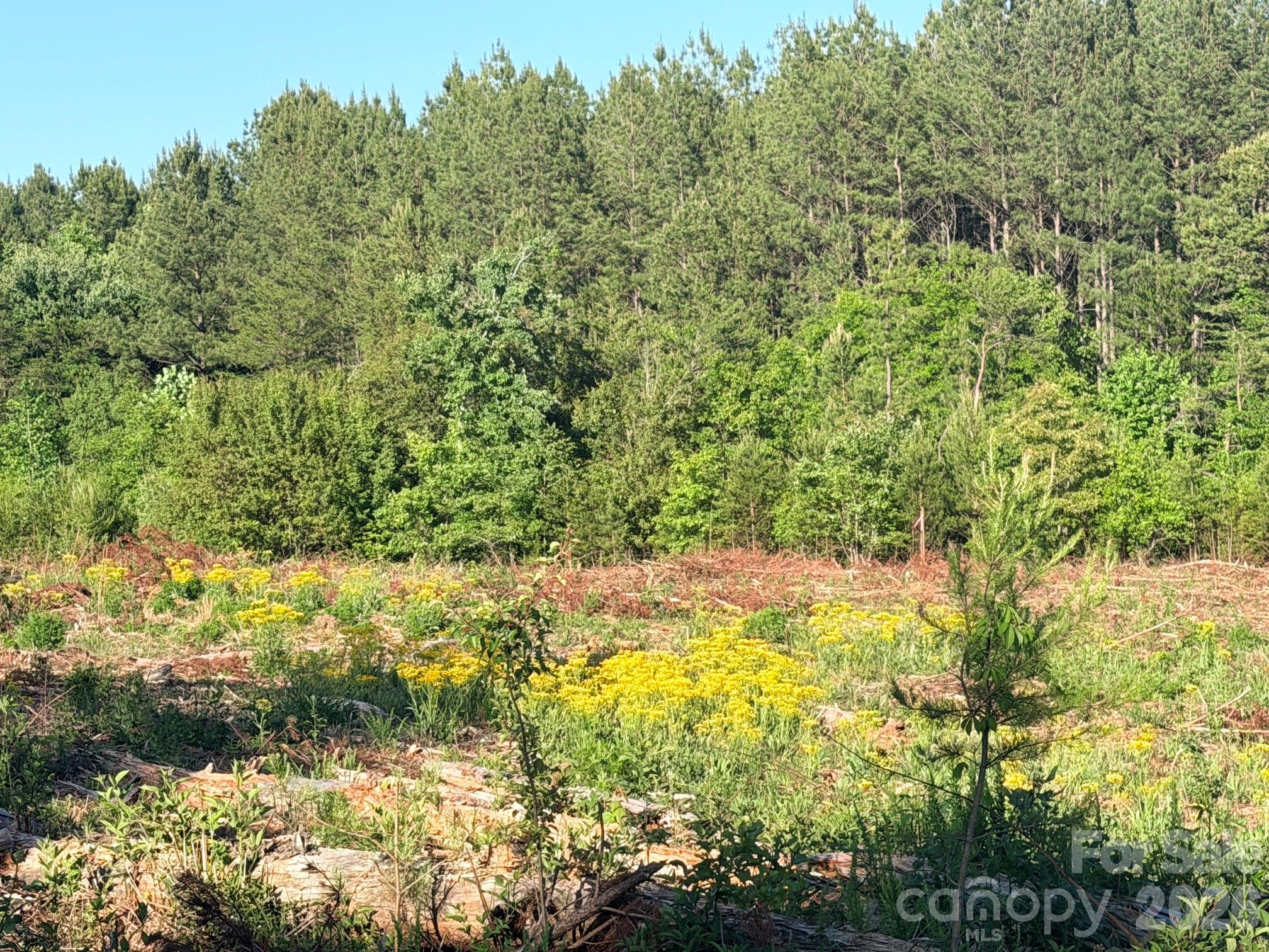 Lot 2 Doggett Grove Road Forest City NC 28043