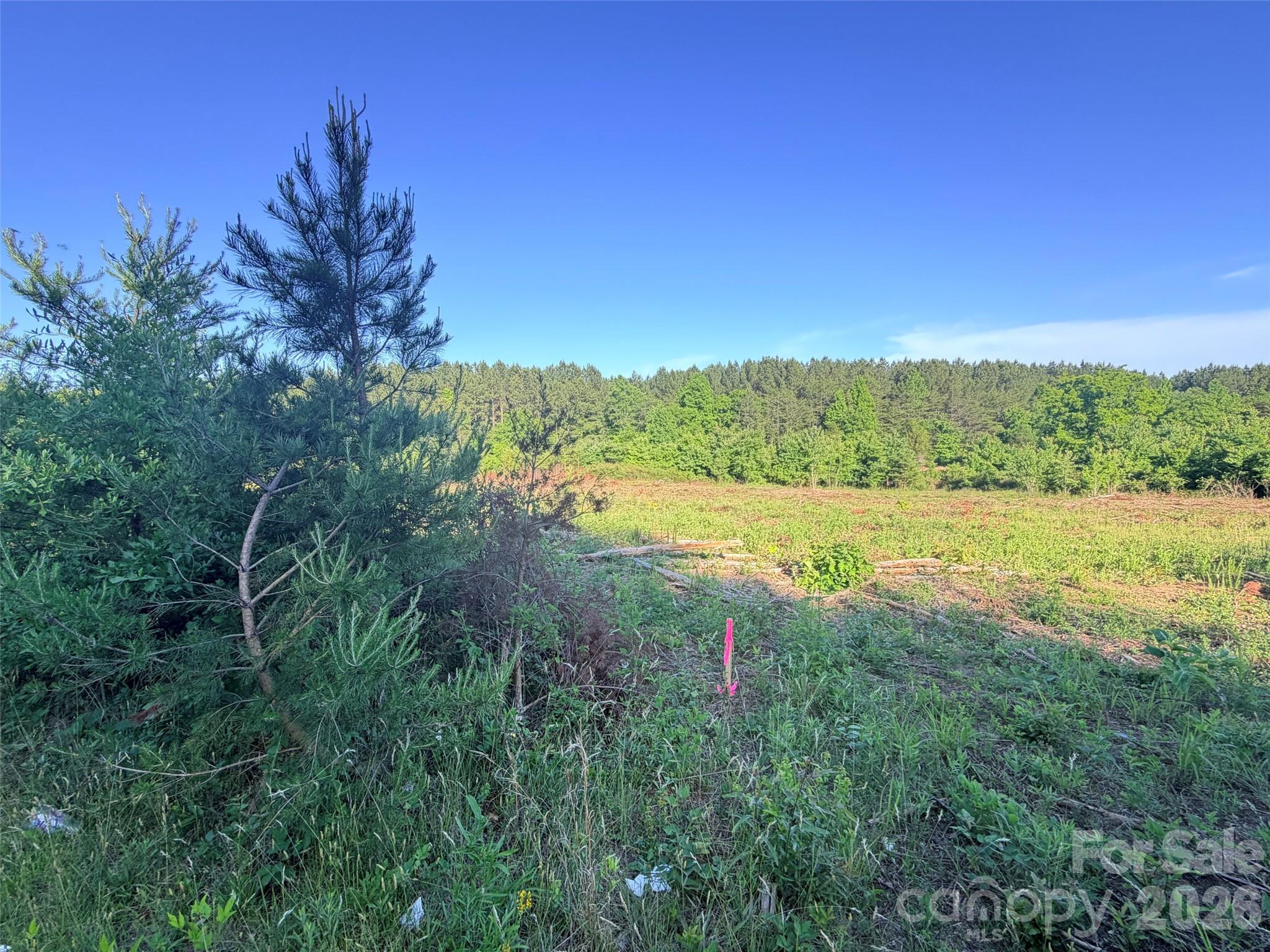 Lot 2 Doggett Grove Road Forest City NC 28043