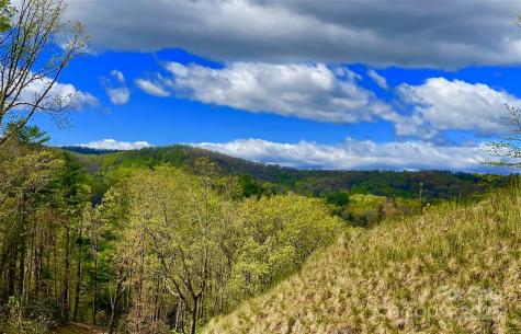 83 Curtain Bluff Hendersonville NC 28791
