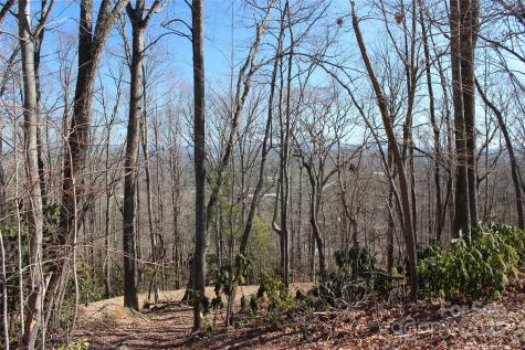 83 Curtain Bluff Hendersonville NC 28791