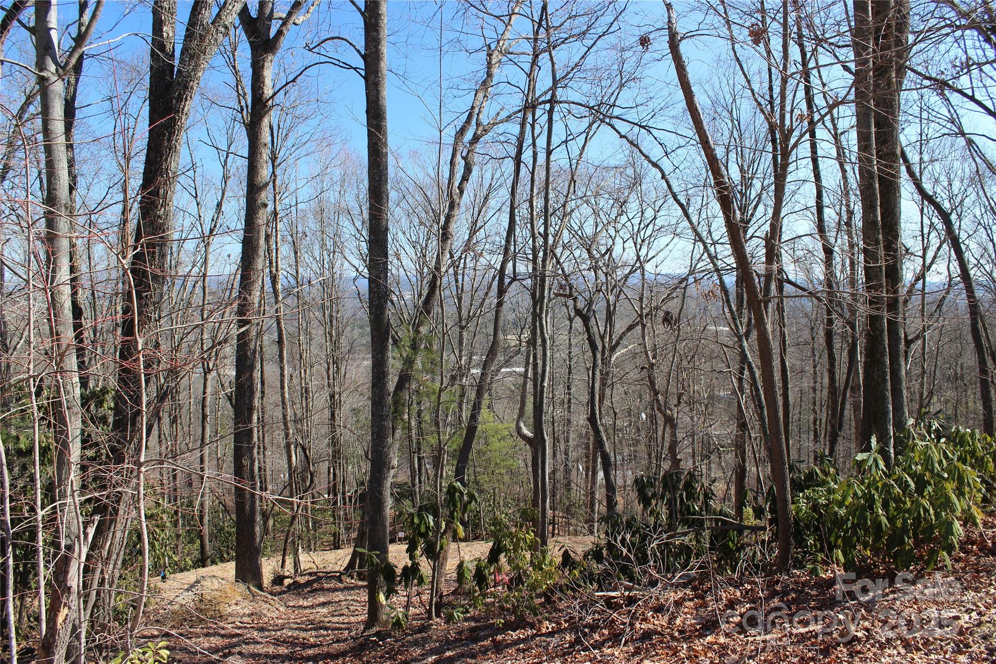 83 Curtain Bluff Hendersonville NC 28791