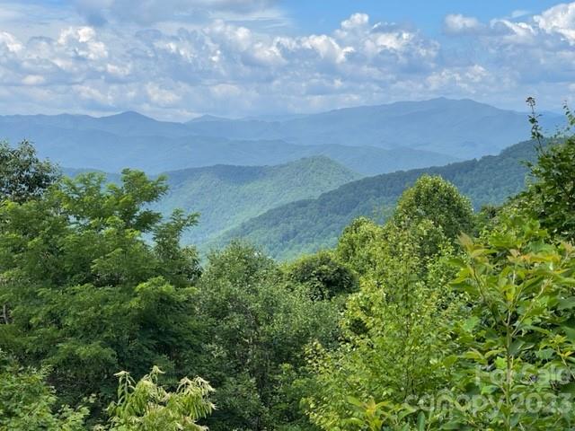 Lot 63 Falls Road Bryson City NC 28713