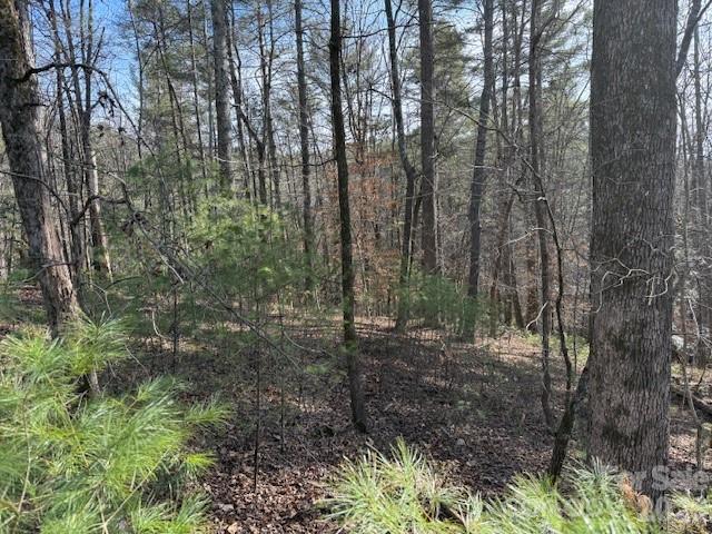 7 Settlement Ridge Drive Marion NC 28752
