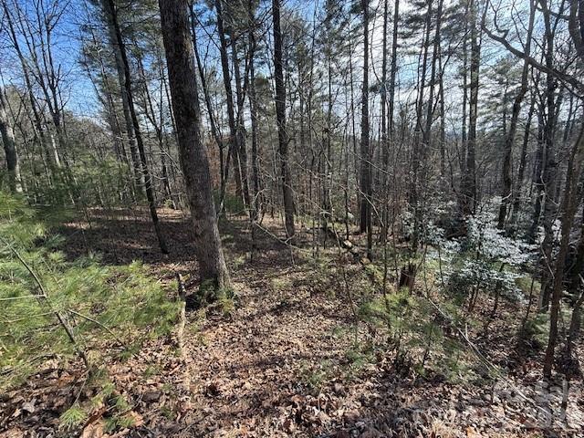 7 Settlement Ridge Drive Marion NC 28752