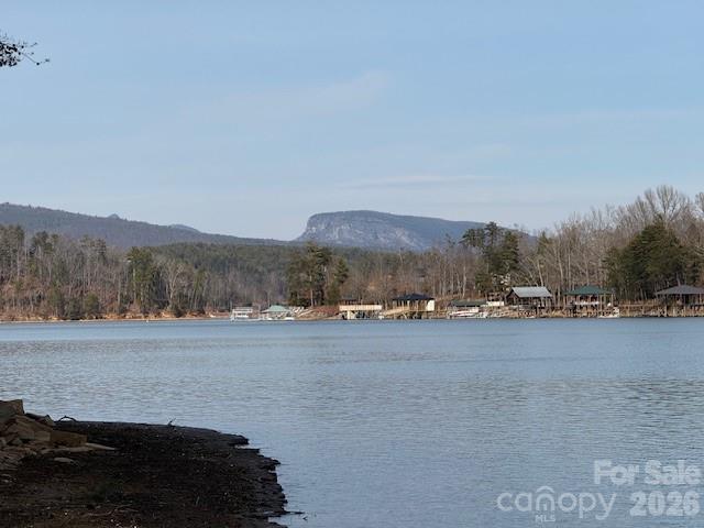 7 Settlement Ridge Drive Marion NC 28752