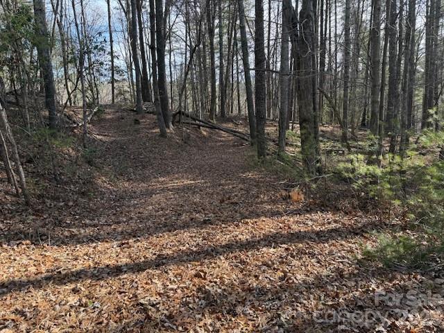 7 Settlement Ridge Drive Marion NC 28752
