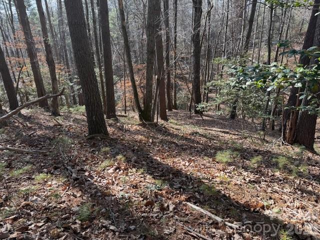 7 Settlement Ridge Drive Marion NC 28752
