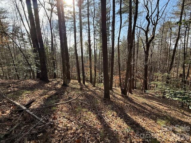 7 Settlement Ridge Drive Marion NC 28752