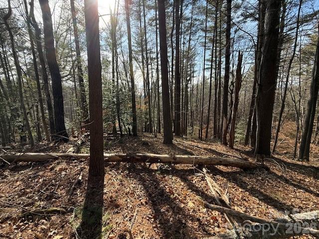 7 Settlement Ridge Drive Marion NC 28752