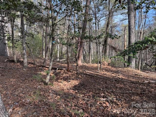 7 Settlement Ridge Drive Marion NC 28752