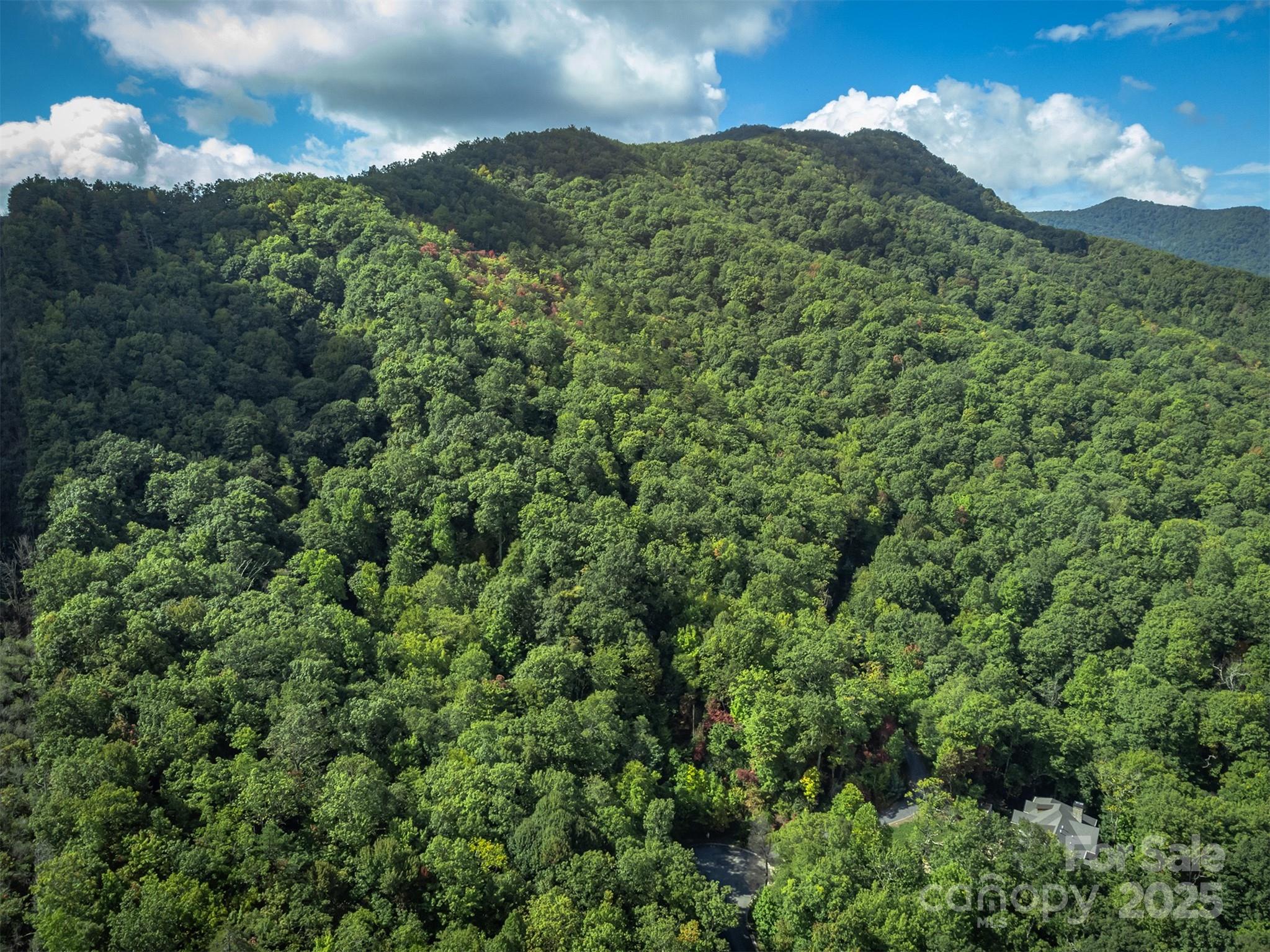 66 Sisters View Drive Black Mountain NC 28711