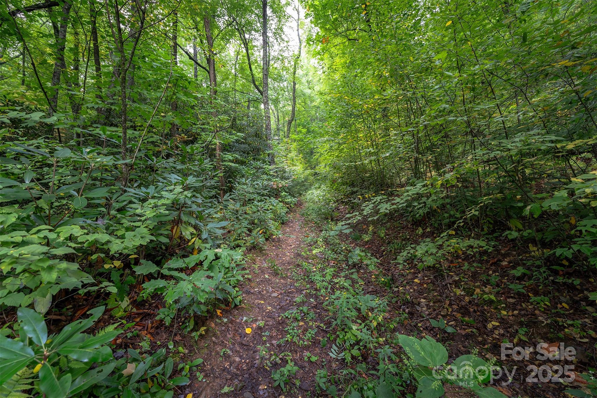 66 Sisters View Drive Black Mountain NC 28711