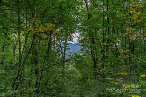 66 Sisters View Drive Black Mountain NC 28711