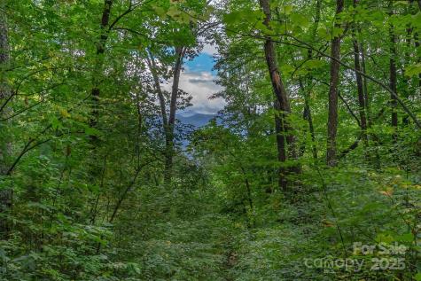 66 Sisters View Drive Black Mountain NC 28711
