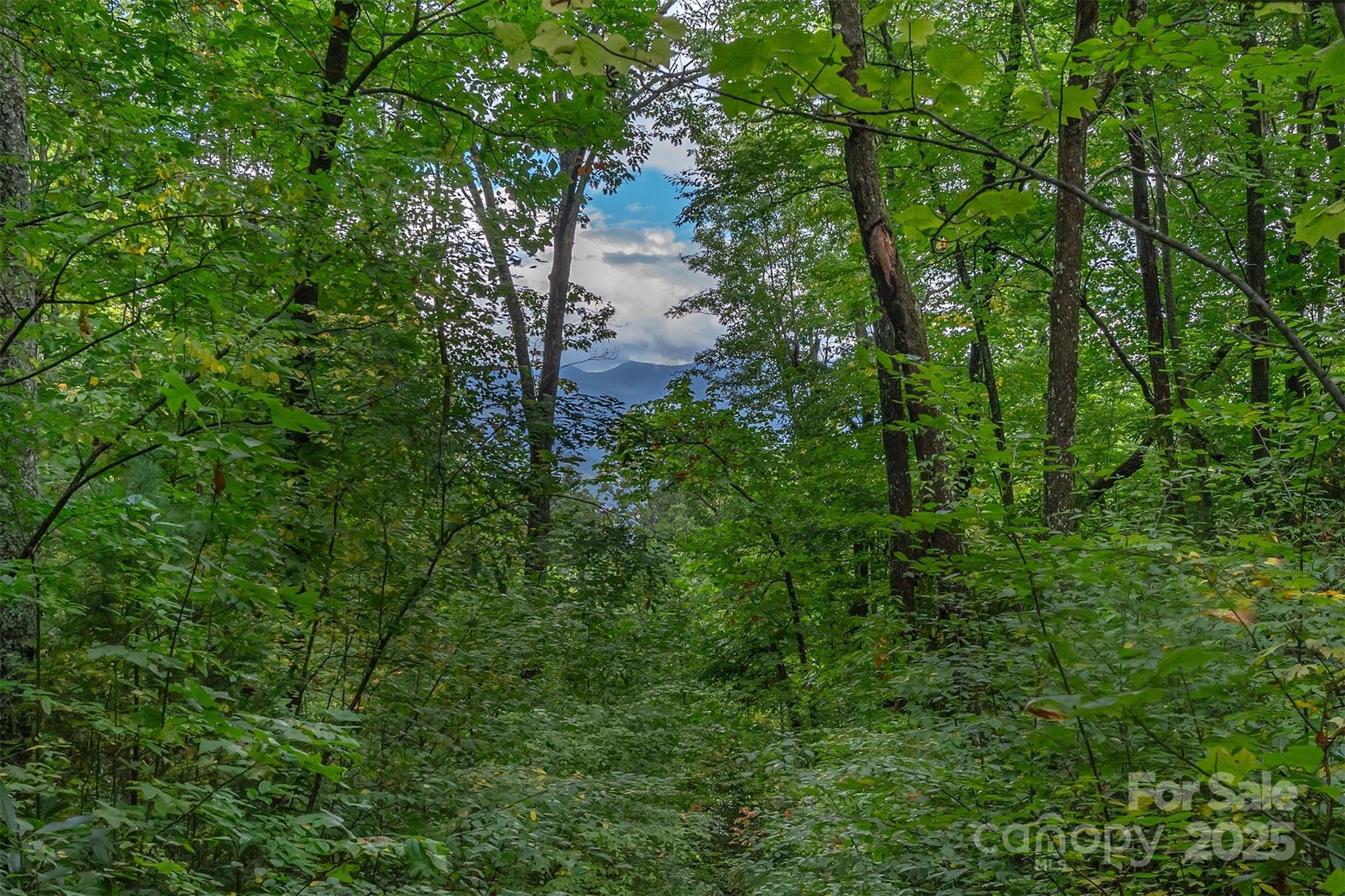 66 Sisters View Drive Black Mountain NC 28711
