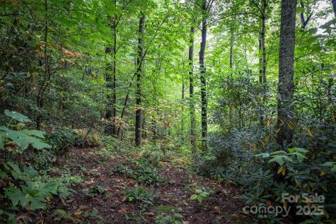 66 Sisters View Drive Black Mountain NC 28711