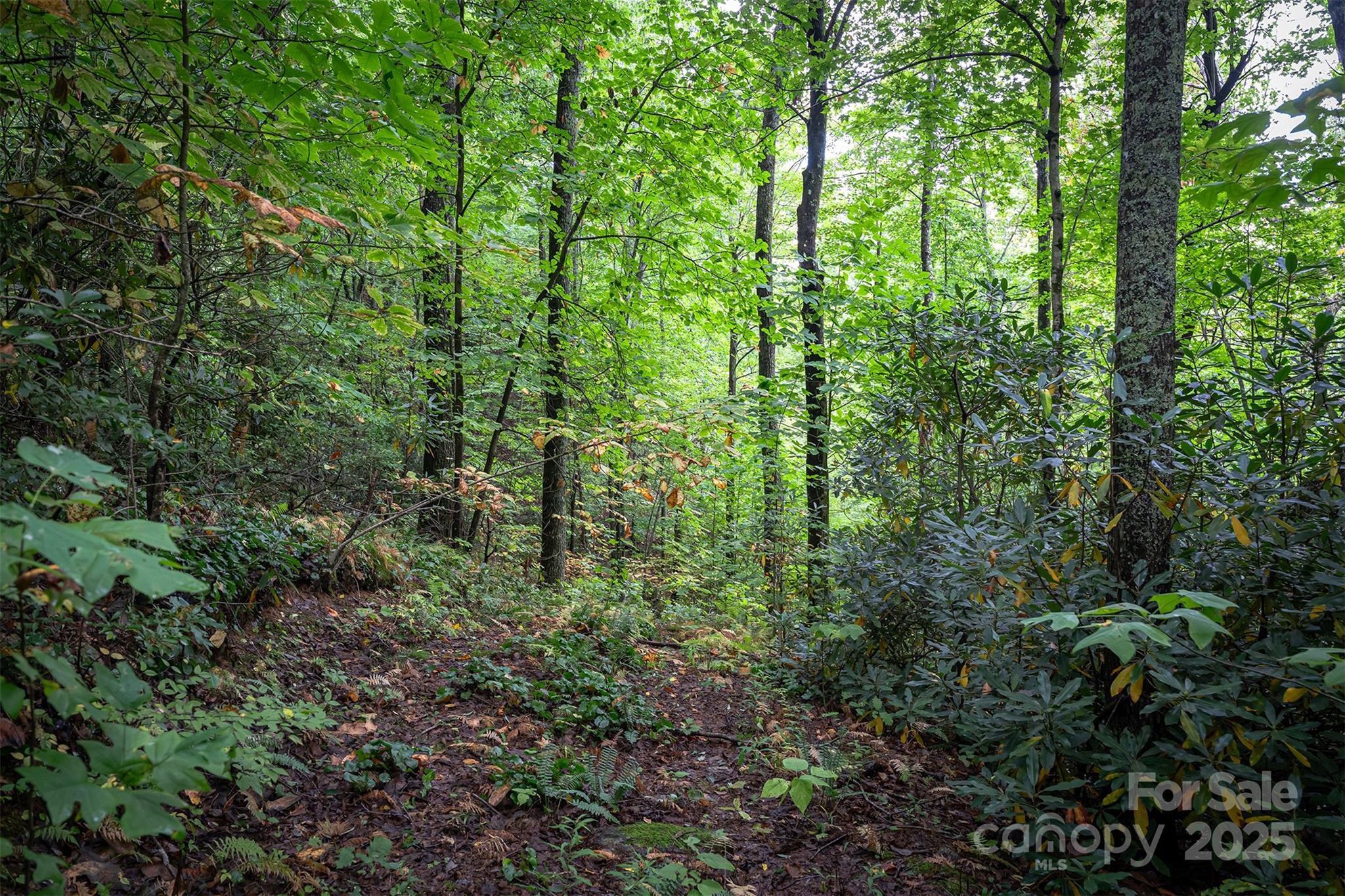 66 Sisters View Drive Black Mountain NC 28711