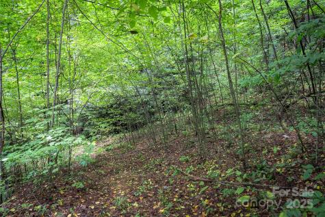 66 Sisters View Drive Black Mountain NC 28711