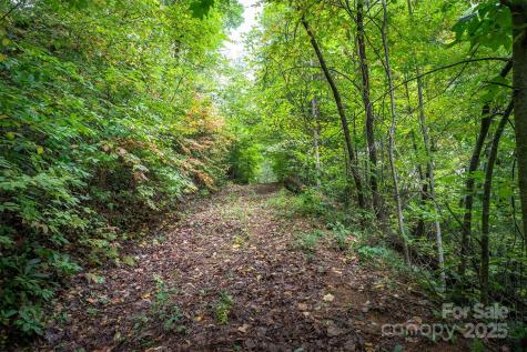 66 Sisters View Drive Black Mountain NC 28711