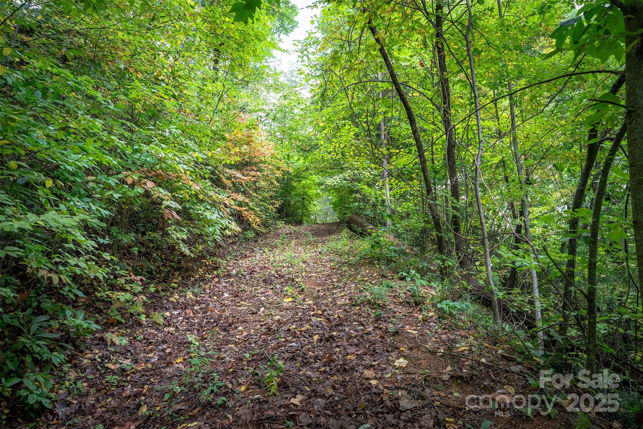 66 Sisters View Drive Black Mountain NC 28711