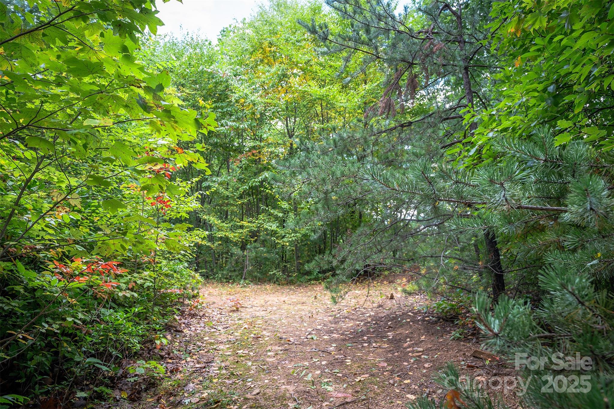 66 Sisters View Drive Black Mountain NC 28711