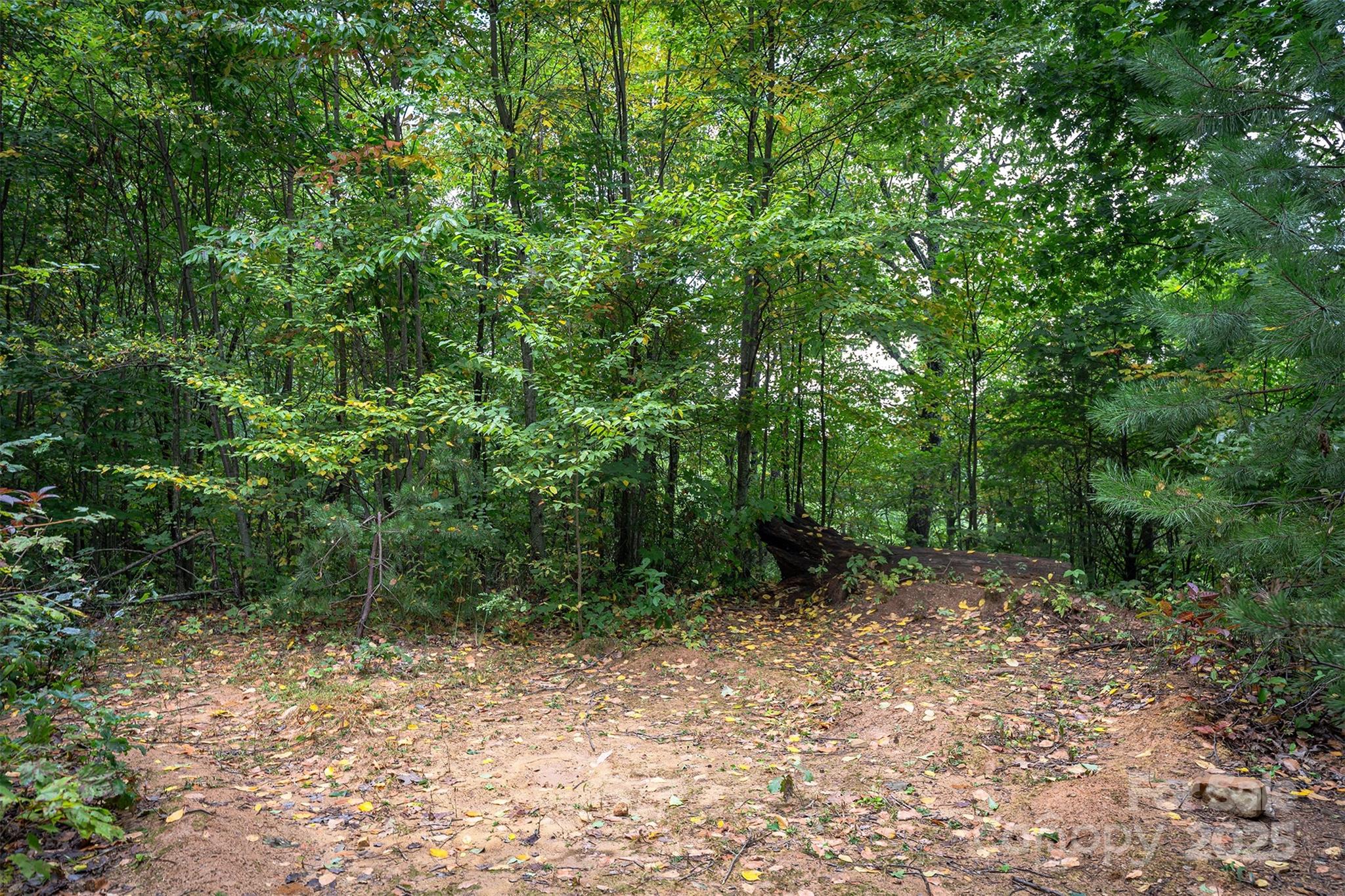 66 Sisters View Drive Black Mountain NC 28711