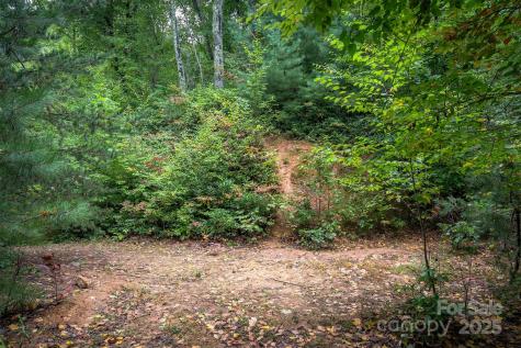 66 Sisters View Drive Black Mountain NC 28711