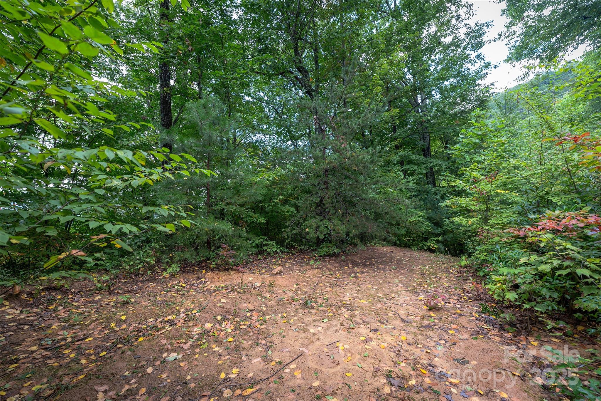 66 Sisters View Drive Black Mountain NC 28711