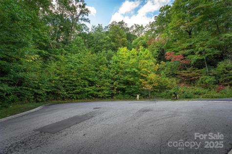 66 Sisters View Drive Black Mountain NC 28711