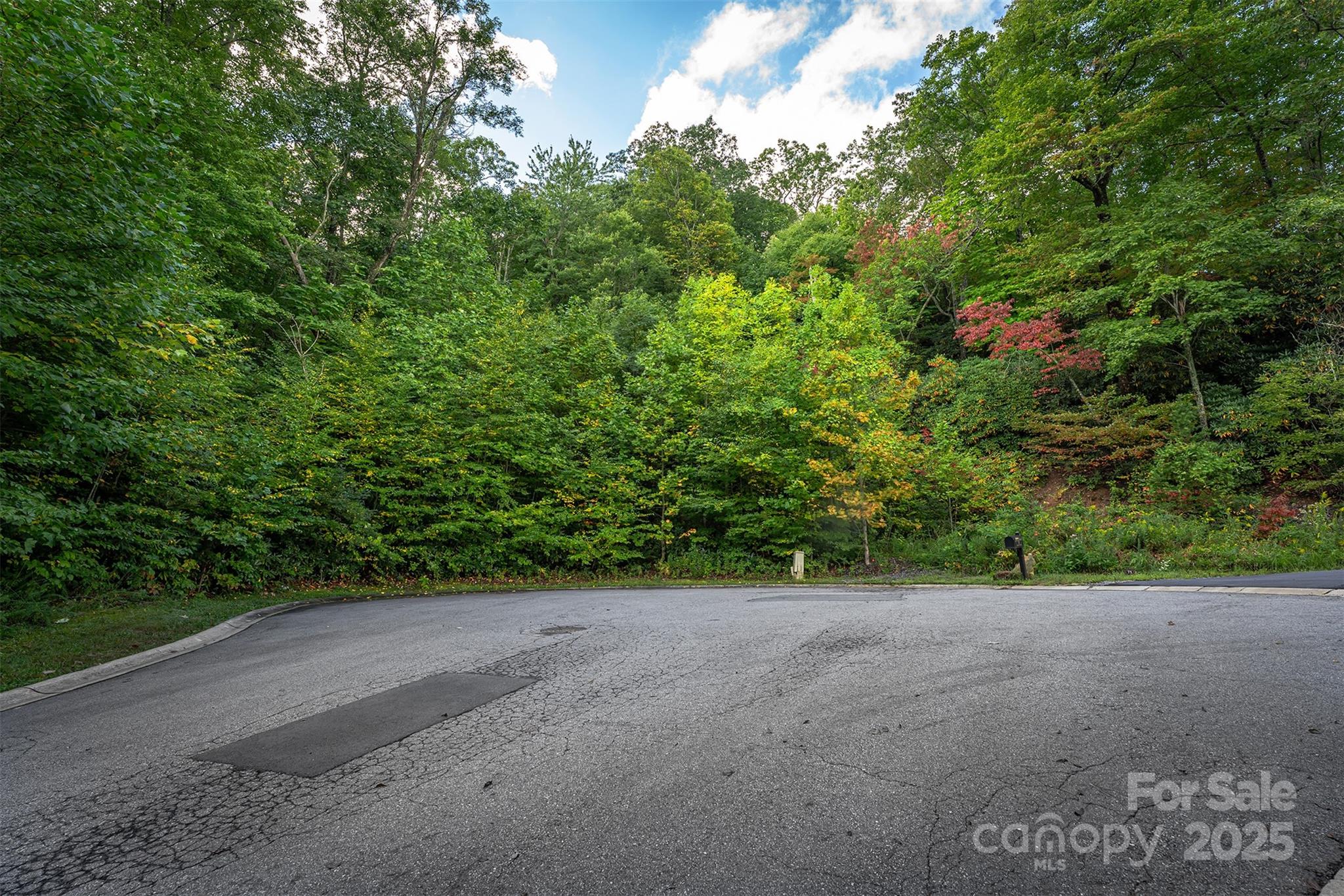66 Sisters View Drive Black Mountain NC 28711