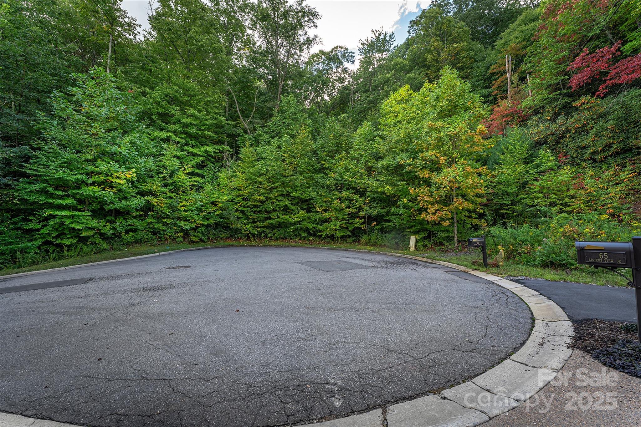 66 Sisters View Drive Black Mountain NC 28711