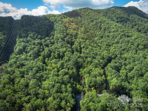 66 Sisters View Drive Black Mountain NC 28711
