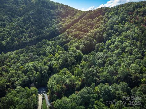 66 Sisters View Drive Black Mountain NC 28711