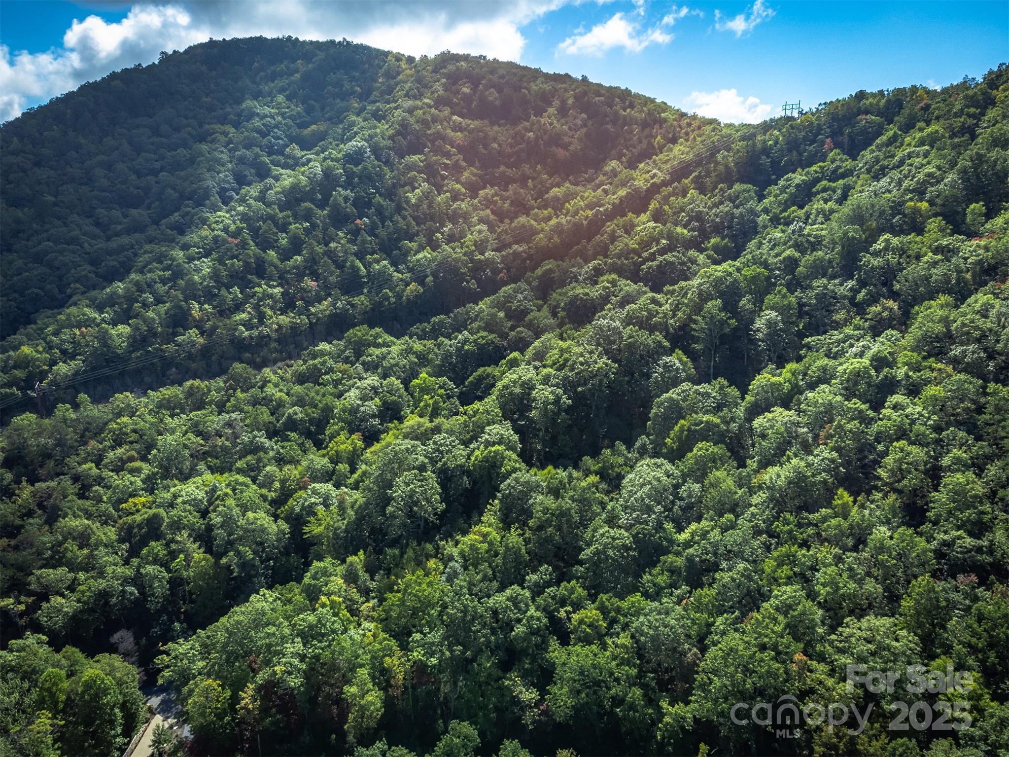 66 Sisters View Drive Black Mountain NC 28711
