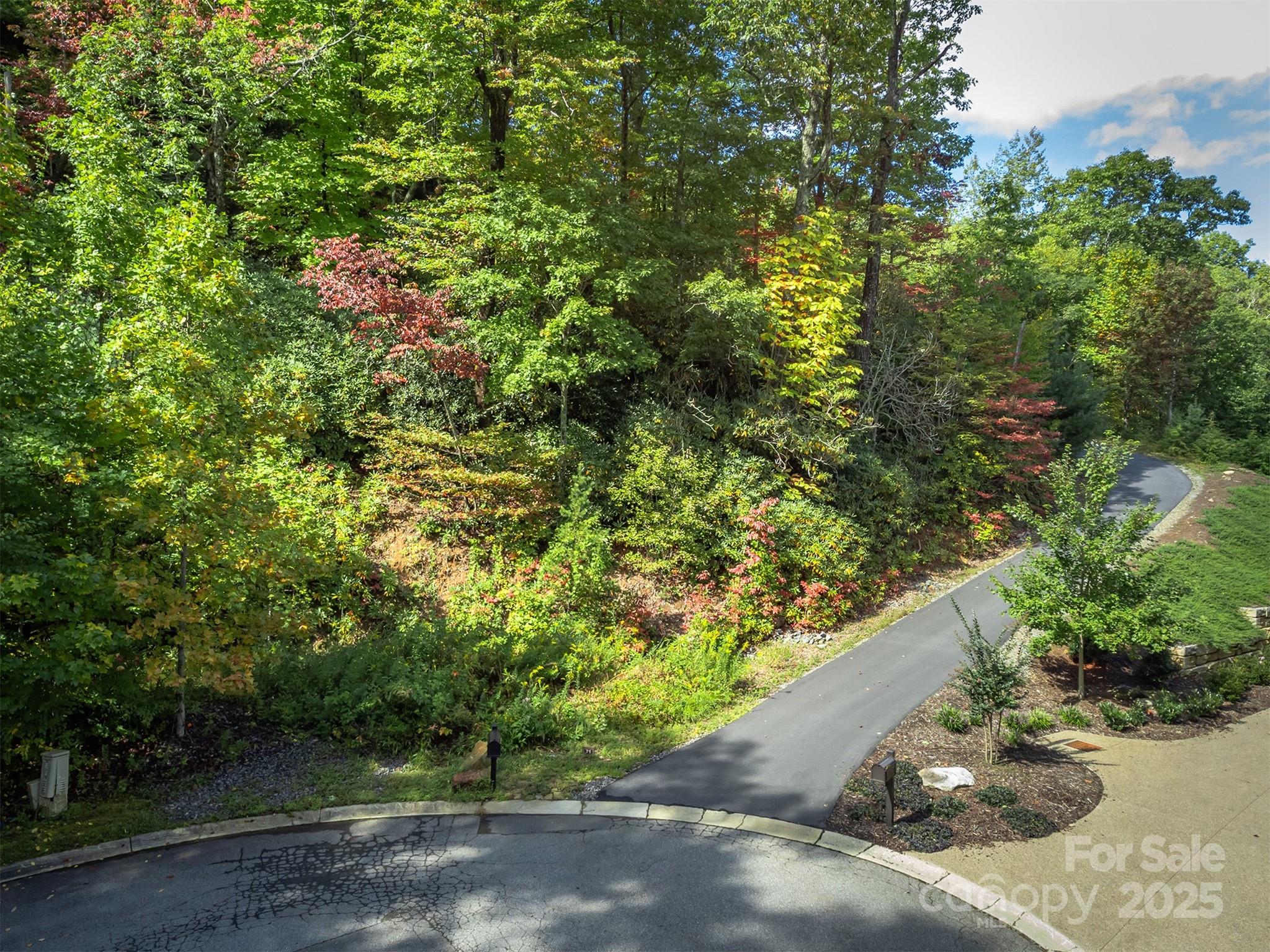 66 Sisters View Drive Black Mountain NC 28711