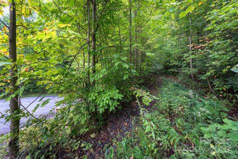 66 Sisters View Drive Black Mountain NC 28711