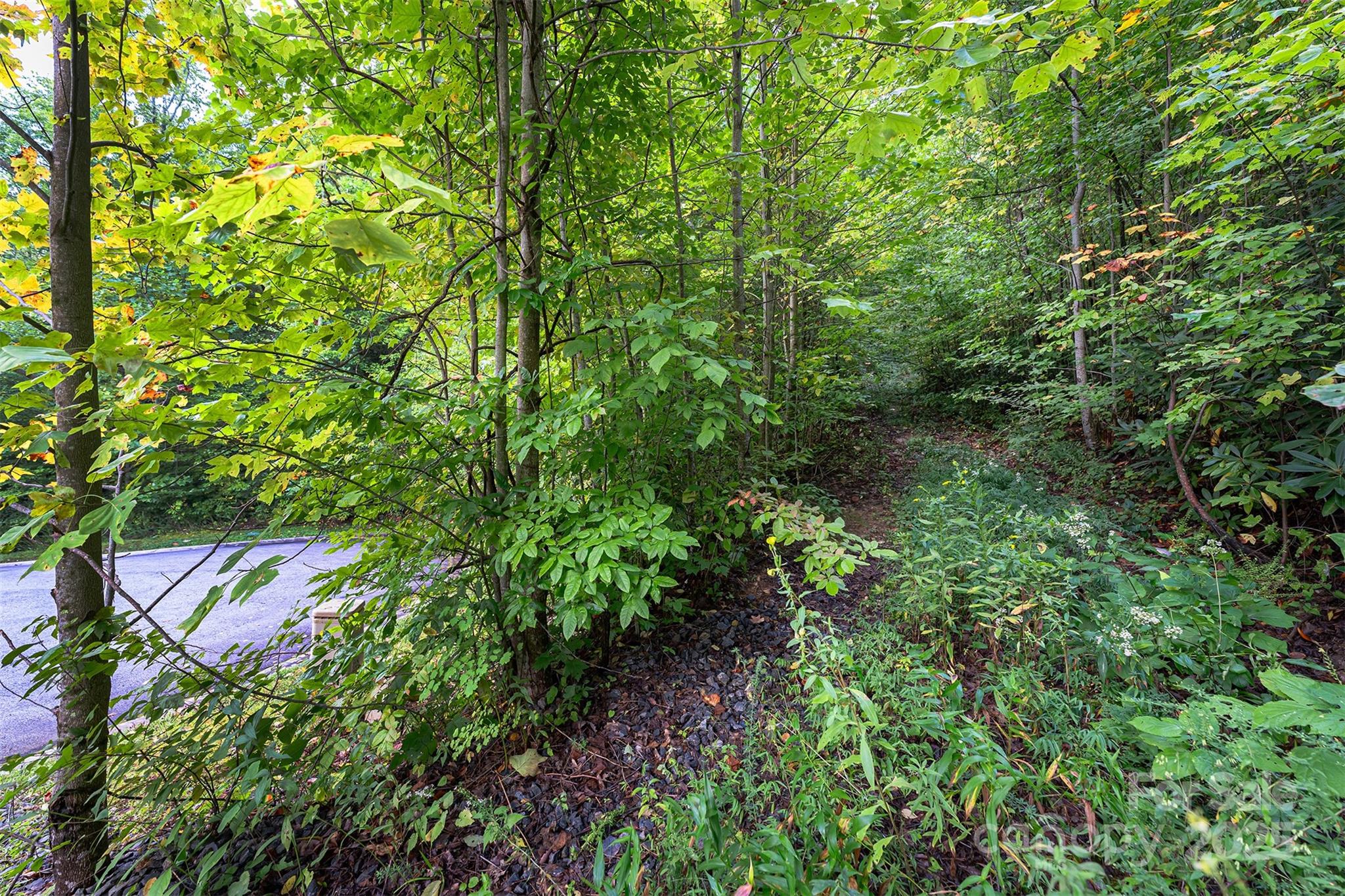 66 Sisters View Drive Black Mountain NC 28711