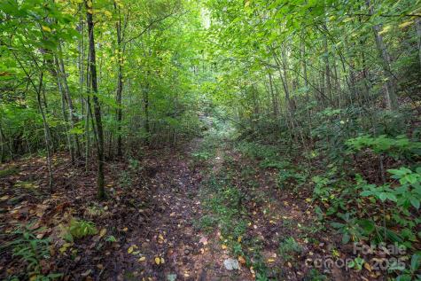 66 Sisters View Drive Black Mountain NC 28711