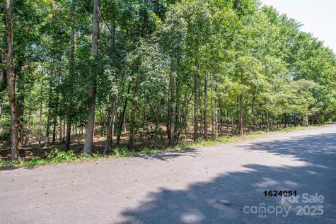 Lot 5 Annapolis Court Rutherfordton NC 28139
