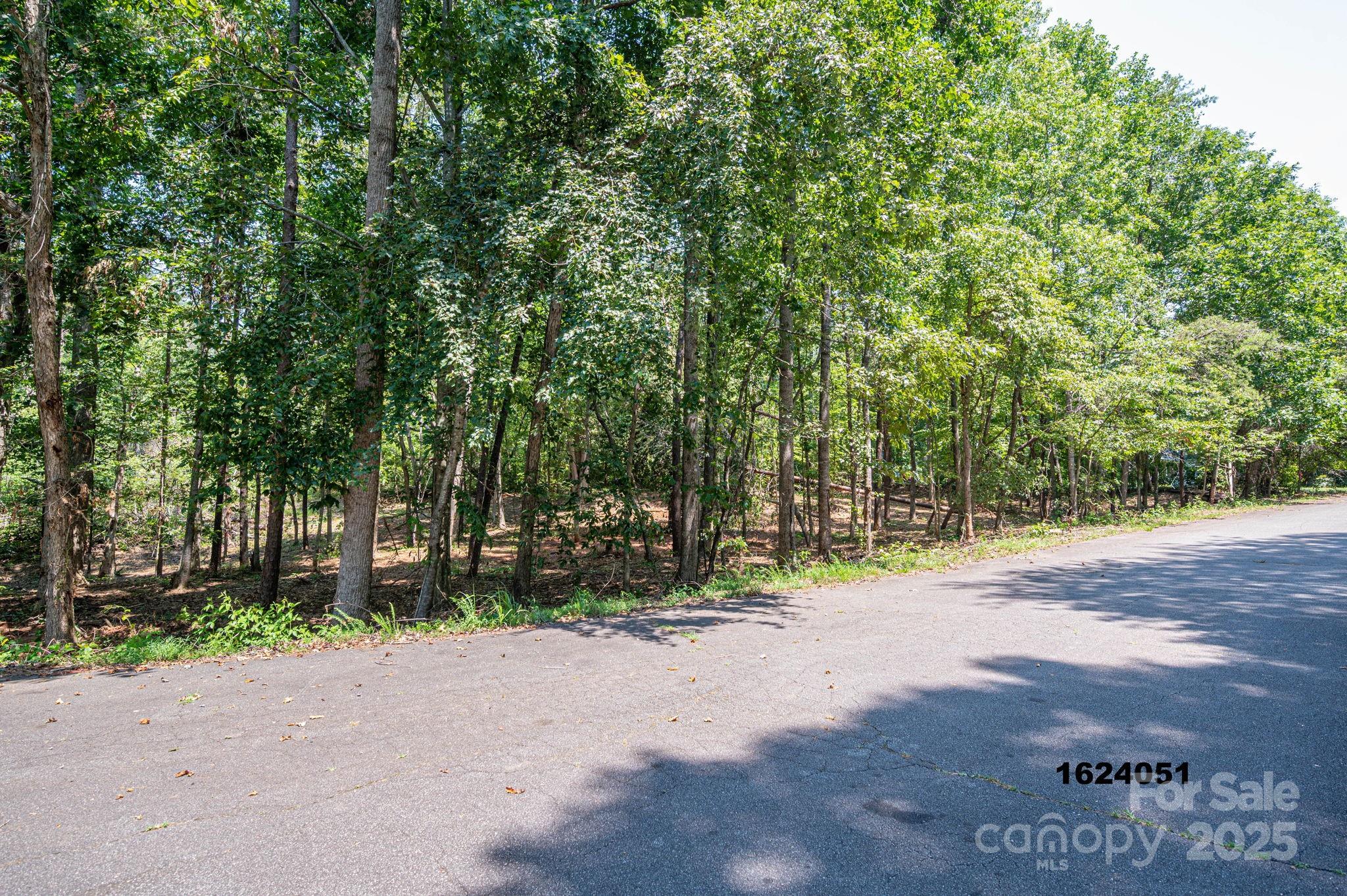 Lot 5 Annapolis Court Rutherfordton NC 28139