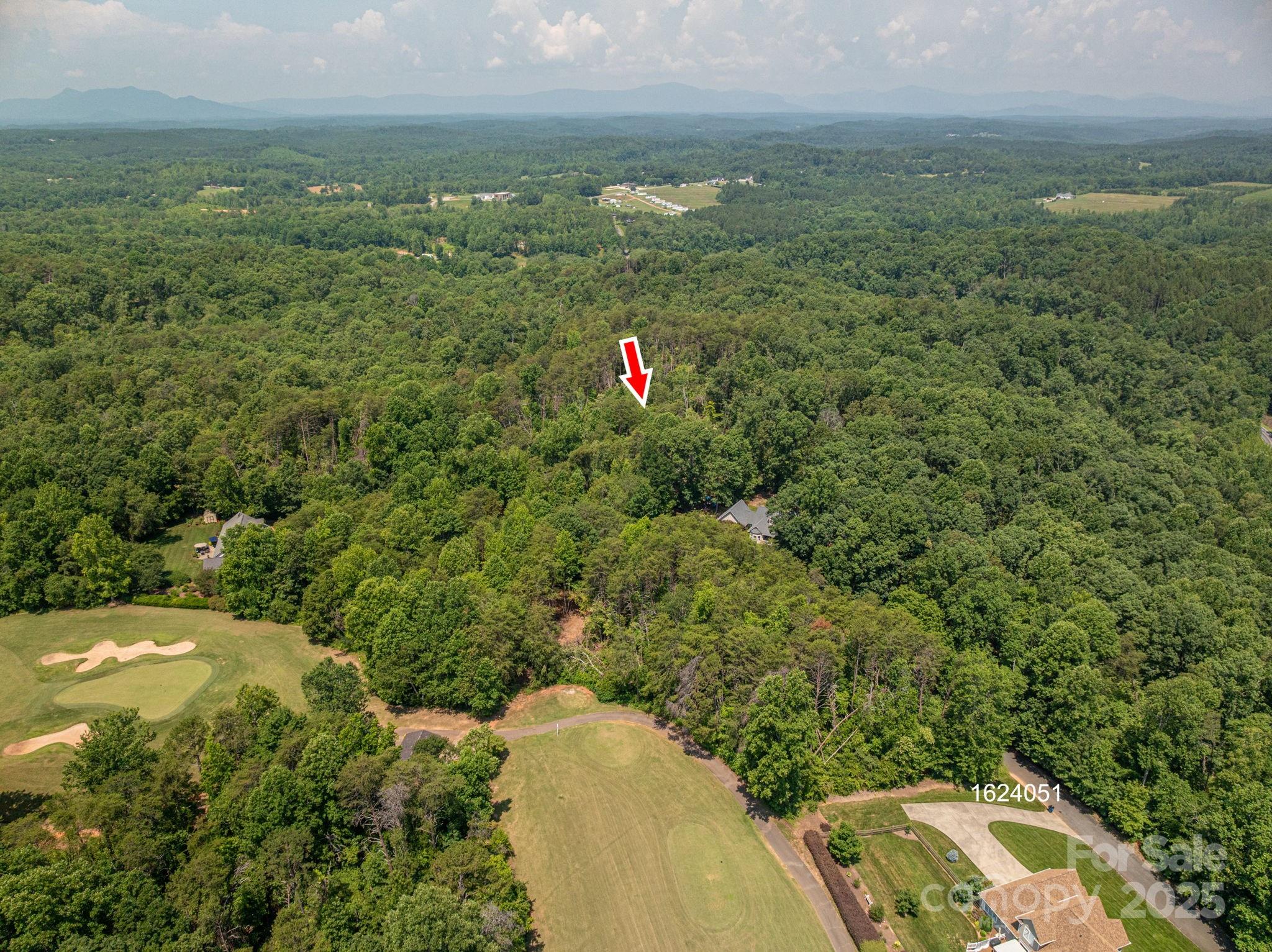 Lot 5 Annapolis Court Rutherfordton NC 28139