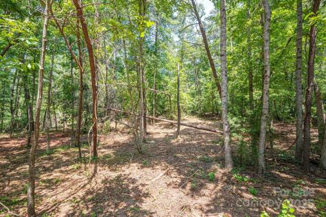 Lot 5 Annapolis Court Rutherfordton NC 28139
